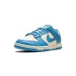 NIKE DUNK LOW - COAST