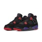 AIR JORDAN 4 - RAPTORS (OUTLETS)