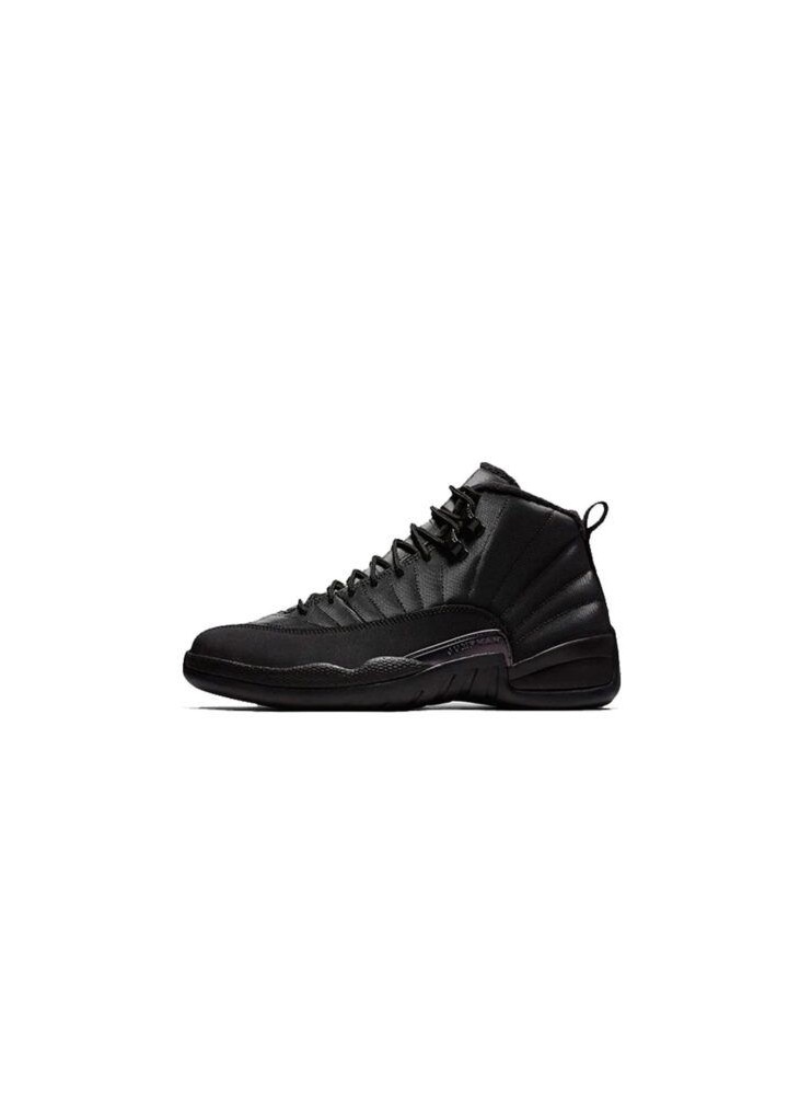 AIR JORDAN 12 - BLACK ANTHRACITE